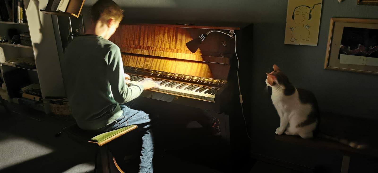 My auto redstone timer in Minecraft, which is count my playtime